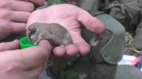Russian troops found a new friend