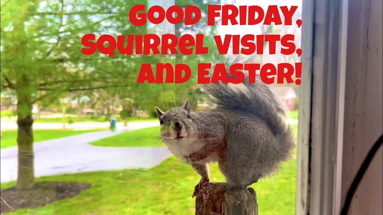 CINCINNATI DAD: Good Friday, Easter Weekend, And The Neighborhood Squirrel!