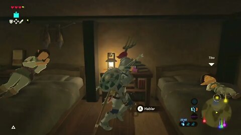 BOTW bug de NPC