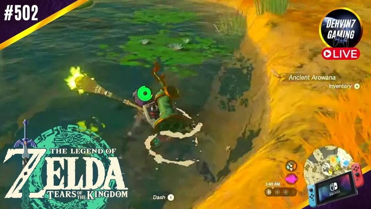 Zora's Domain and Ancient Arowana Quest | Zelda TOTK