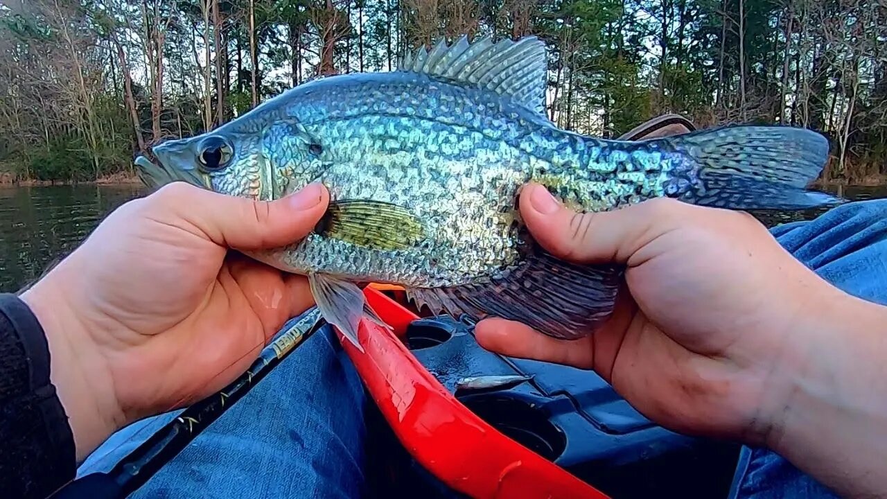 Trolling for CRAPPIE in a SKETCHY Kayak! (Bite was on Fire) *Crappie vs. Bass Taste Test