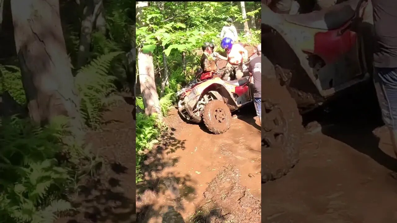 Accidents happen! #mudding #bruteforce750 #ditchedit #atvfail #oakhillcrew #ohcnb #teamwork