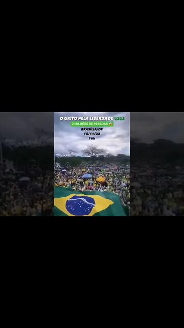 Grito pela liberdade 15.11.2022#news #brasil #noticias #brazil