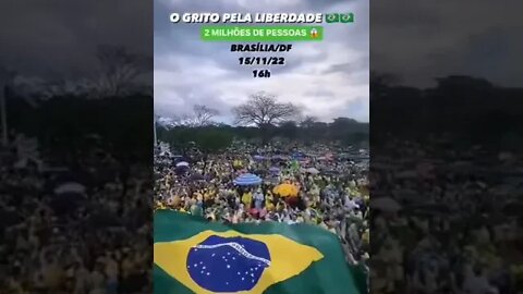 Grito pela liberdade 15.11.2022#news #brasil #noticias #brazil