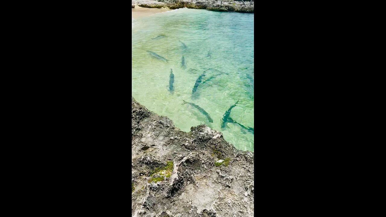 When the ocean calls you.. Say yes!