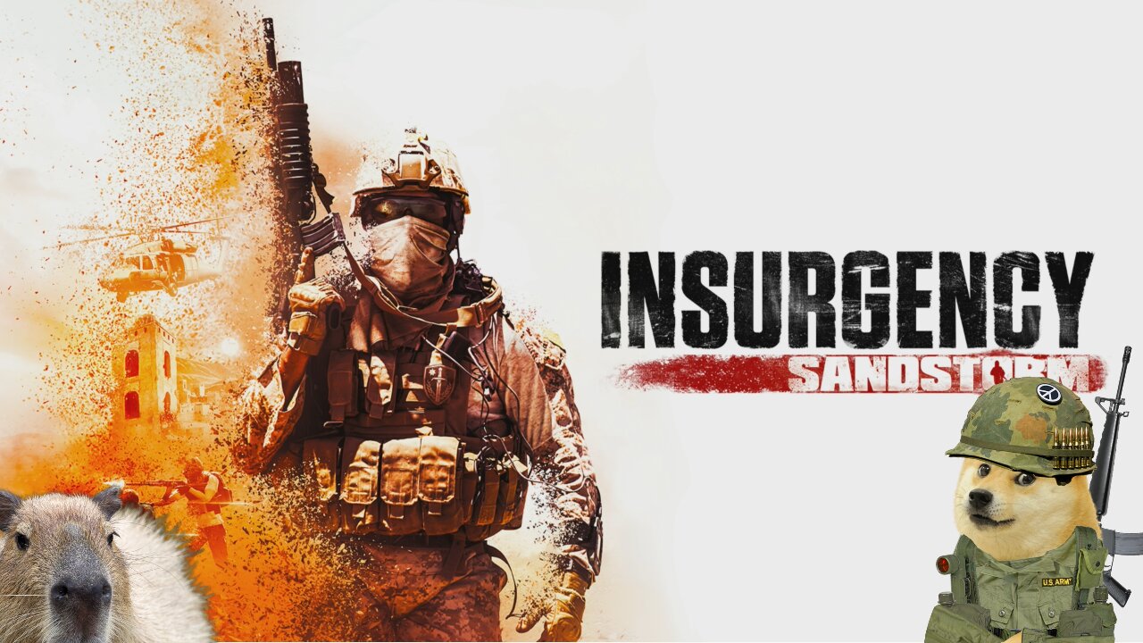 Short Sandstorm Stream | Insurgency Sandstorm Stream