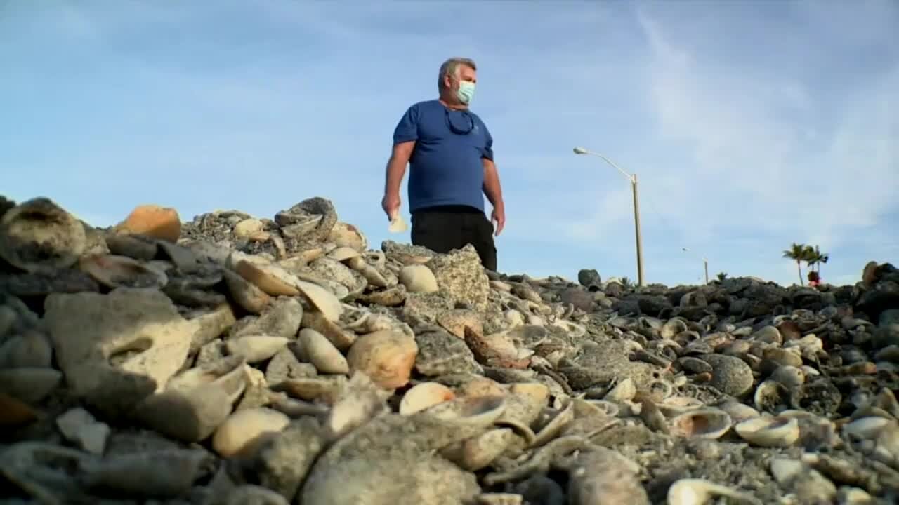 Beach renourishment project leaves shell pile in Jupiter