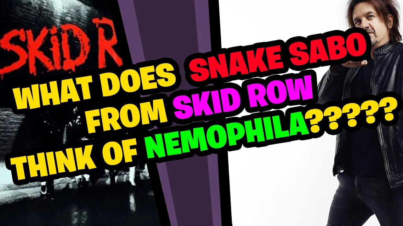 What does SNAKE SABO from SKID ROW think of NEMOPHILA???