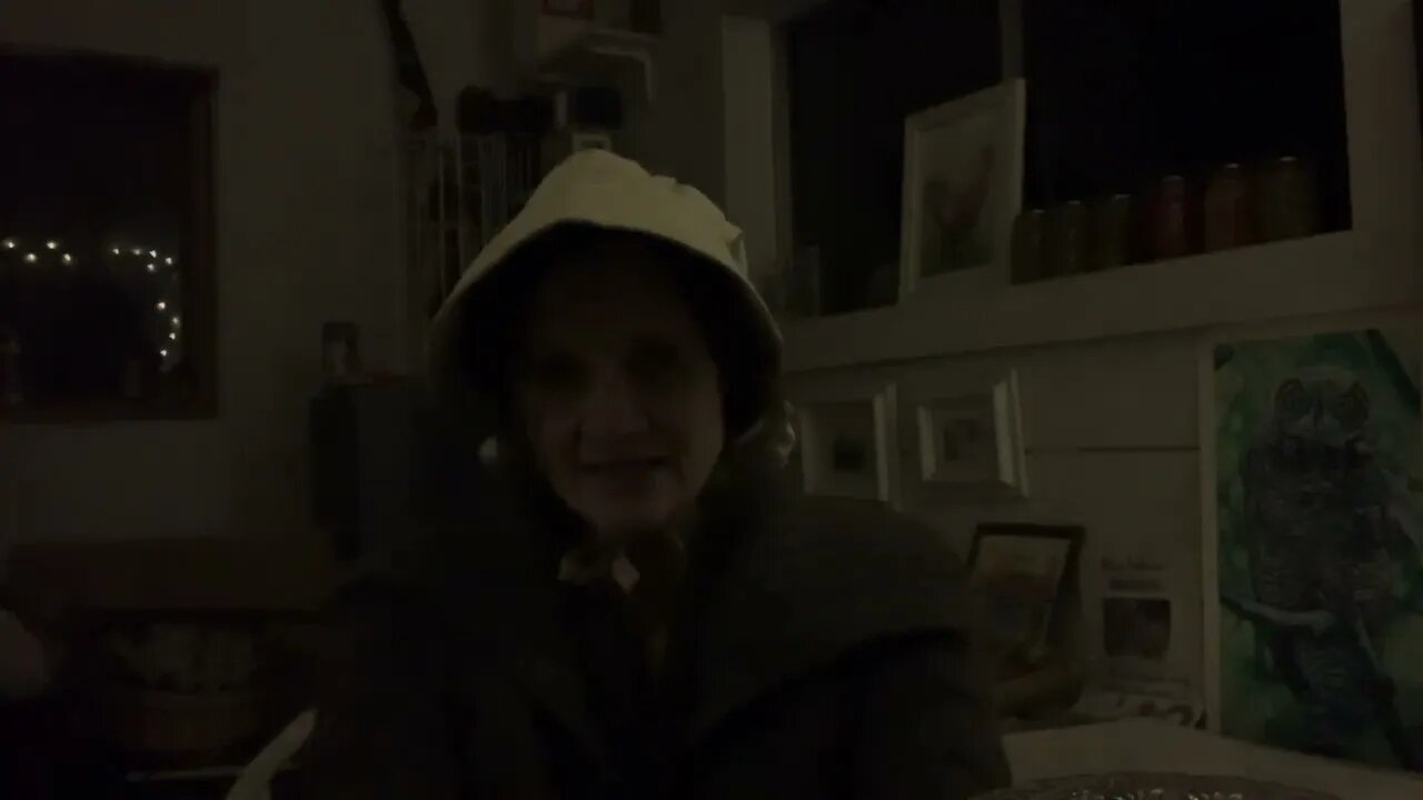 Child Custody Case/ Protecting Children, VR Lambdog