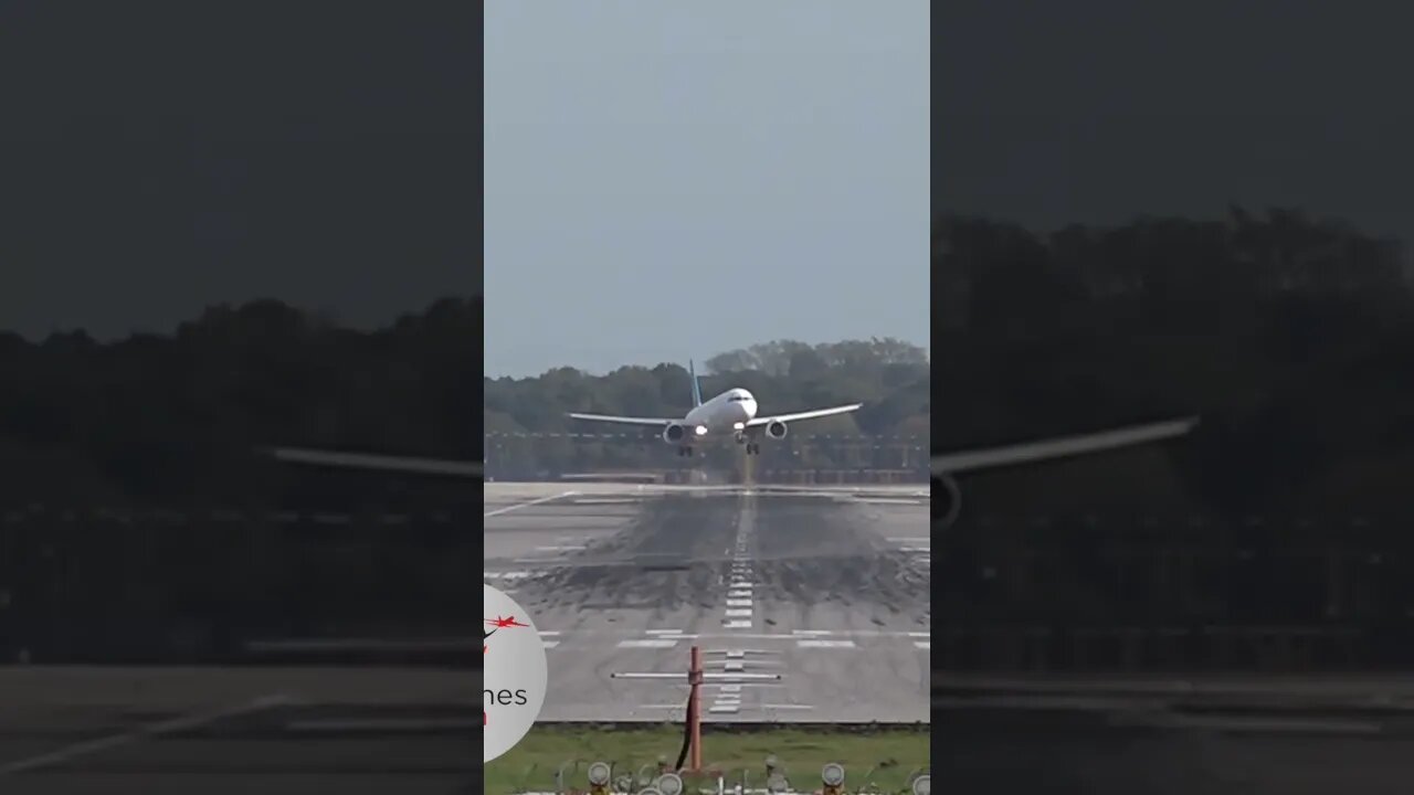 ⚠️Storm. Too windy to land