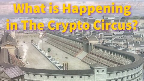 What is Happening In the Crypto Circus?