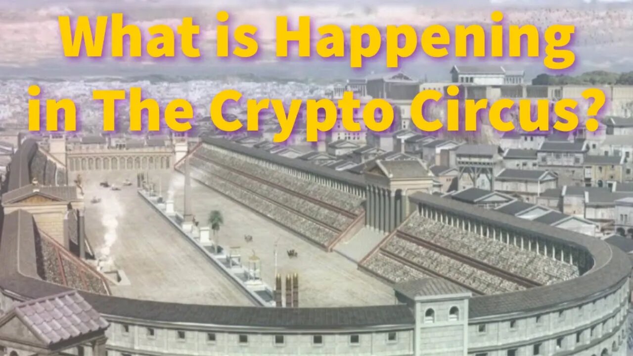 What is Happening In the Crypto Circus?