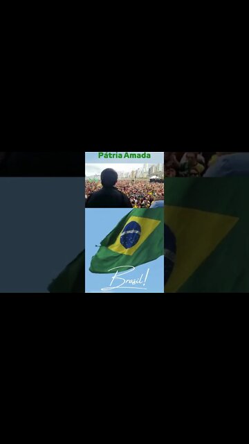 PÁTRIA AMADA BRASIL #shorts