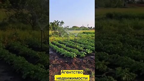 Огороды на Кубани/ Жить надо с радостью/ Переезд на Юг/ #краснодарскийкрай край #недвижимость #дом