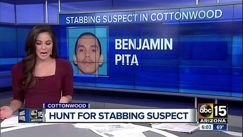 Police are searching for a stabbing suspect in Cottonwood