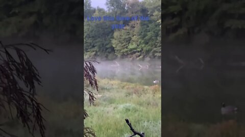 Early goose season