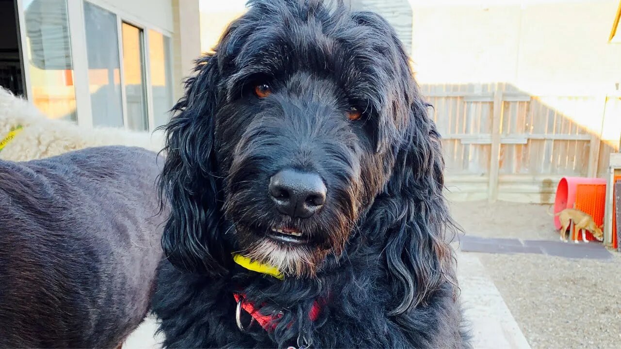 GOOD NIGHT, EDDIE ...