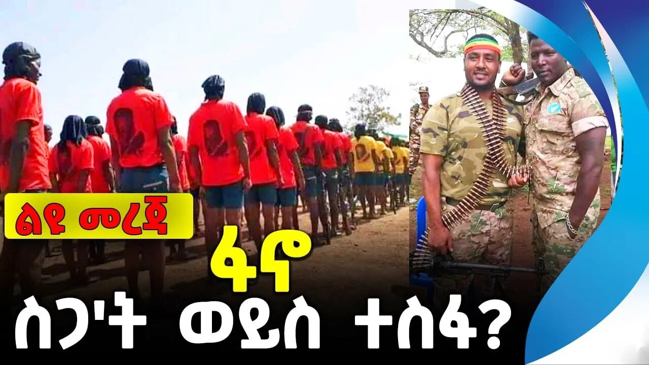 ፋኖ ስጋ'ት ወይስ ተስፋ? | አማራ ፋኖ | ethiopia | addis ababa | amhara | oromo