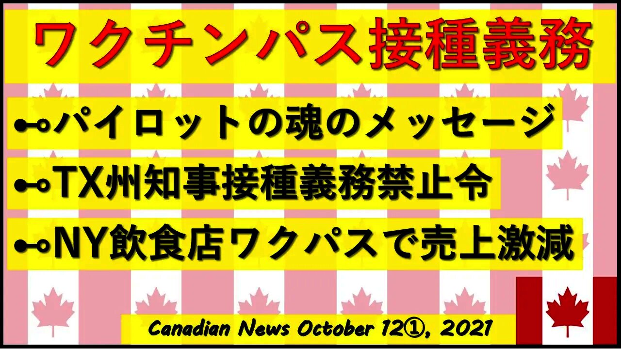 ワクチンパス接種義務政策 パイロットの魂のメッセージ/Southwest Airlinesの大混乱