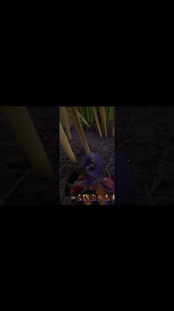 WELL BRO I TRIED TO WARN YOU LMAO #shorts