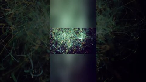 Abstract particle lines..#short #shorts #shortvideo #youtubeshorts #videos