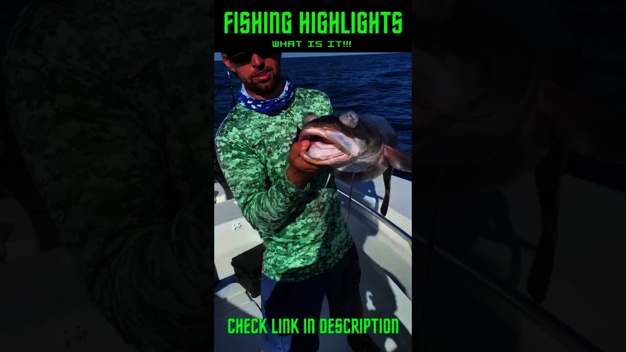 What Kind of Fish Is It! #Shorts #BassFishing, #DeepSeaFishing, #SaltWaterFishing #Fish #Fishing