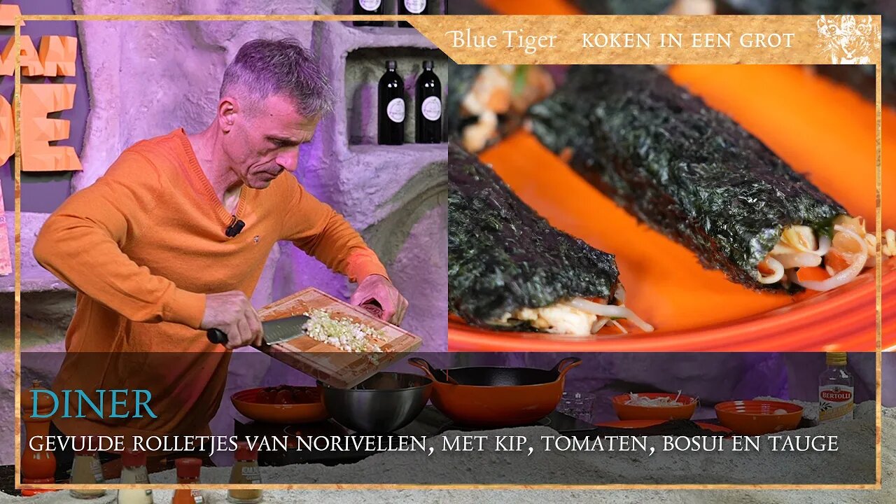 Diner: Rolletjes van norivellen, gevuld met gebakken kip en diverse groenten.