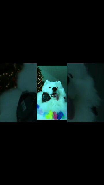 Live Séance in Action ,#short