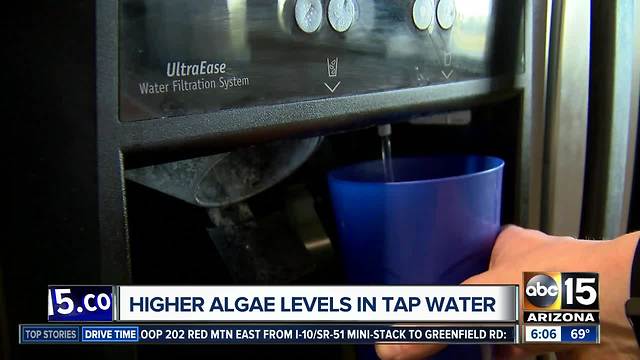 Tempe residents complain of smelly water; officials say algae is to blame