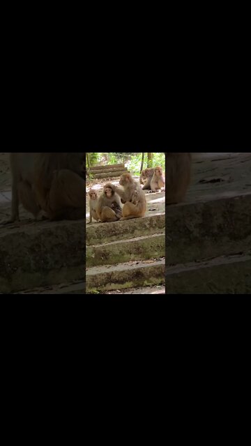 Most Amazing and trending video||relaxing your mind||trendig videos|| #shorts #trending #viral #live