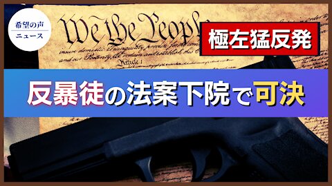 極左猛反発、市民に法的免責を与える【希望の声ニュース/hope news】