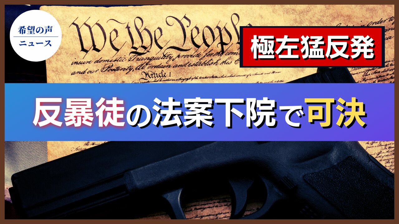 極左猛反発、市民に法的免責を与える【希望の声ニュース/hope news】