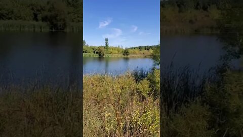beautiful pond