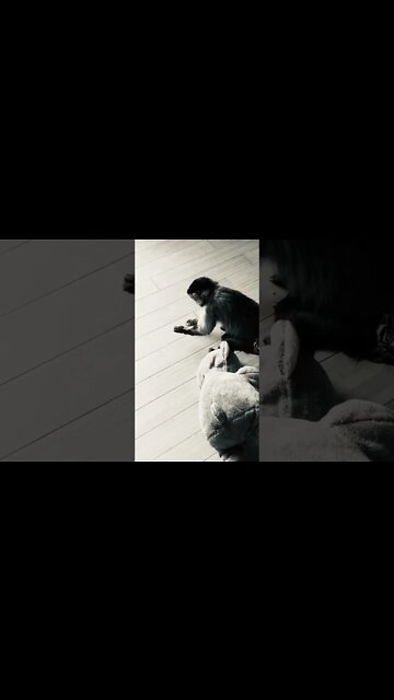 In the kitchen cooking tonight we are having Pork Chops Taters Gravy #Shorts