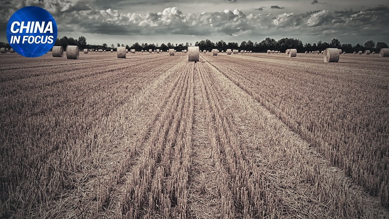 NTD Italia: Il PCC ruba agli USA (anche) la tecnologia agricola