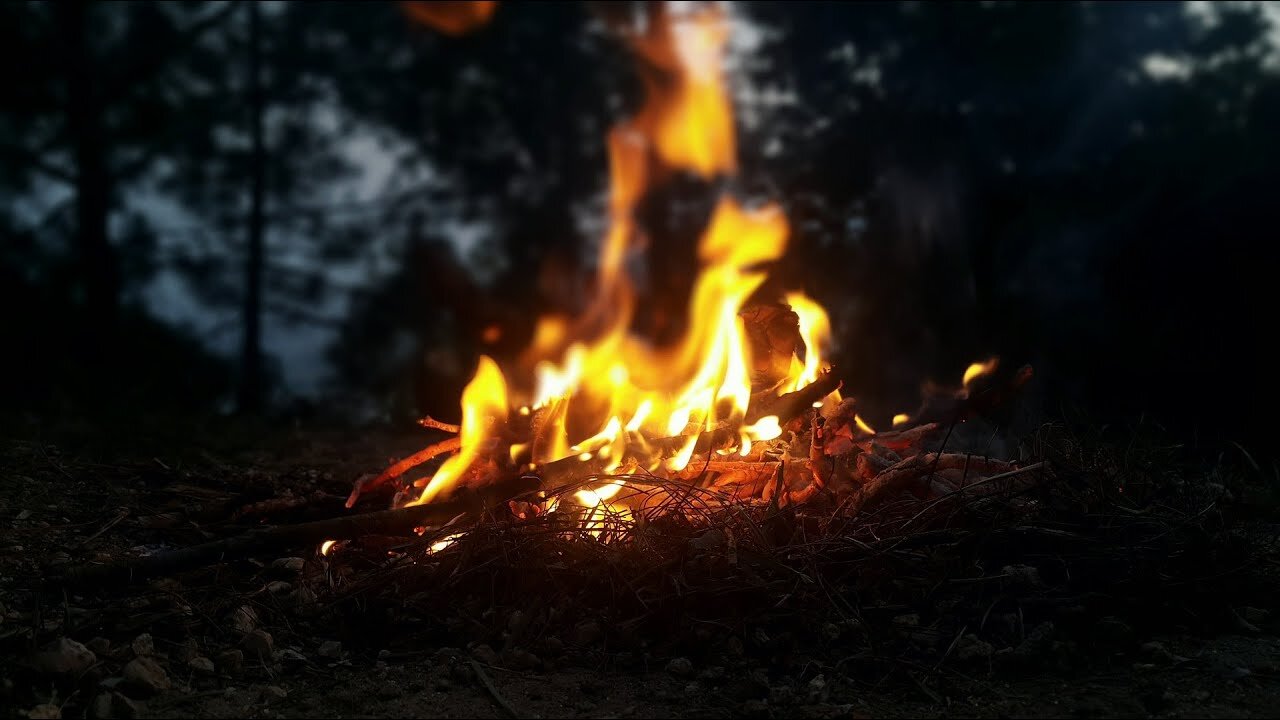 🔥Soothing Crackling Campfire Burning🔥 8 Hours for Sleeping, Study and Relaxation