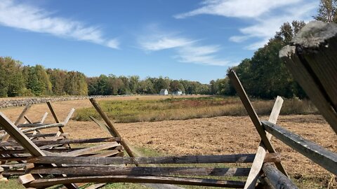 Sounds of Nature: Open Field