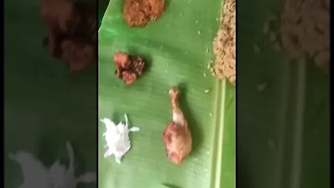 Mutton Biryani with Chicken leg || #shorts #youtubeshorts #trending #shortsfeed #viral @TowerTreee