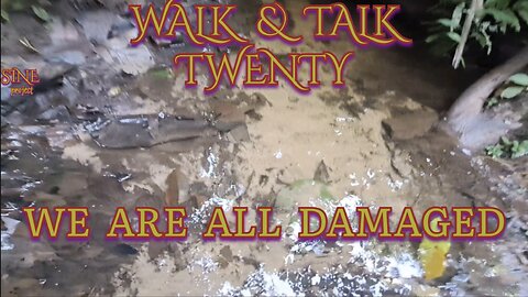 WALK AND TALK 20 / WE ARE ALL DAMAGED