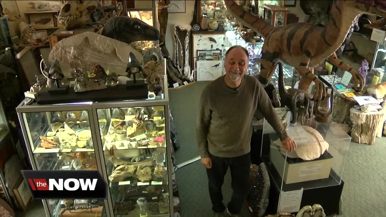 His Blasdell shop showcases his fossil finds