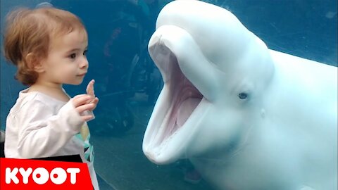 Watch these kids get spooked at the aquarium