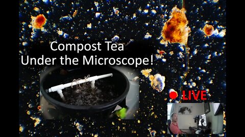 Live Soil Microscopy! Compost Tea, lets see what Biology we Brewed!