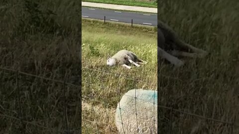 Enjoying time in the sun