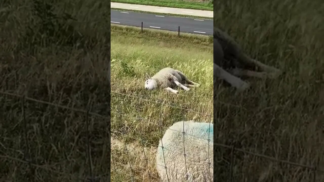 Enjoying time in the sun