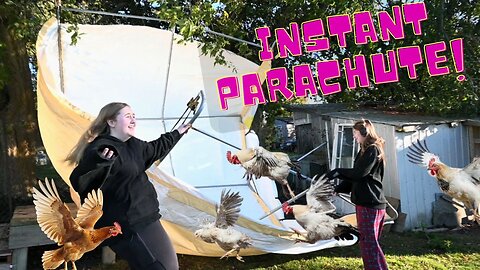 Rescuing Our Chickens In A Gigantic Wind Storm!