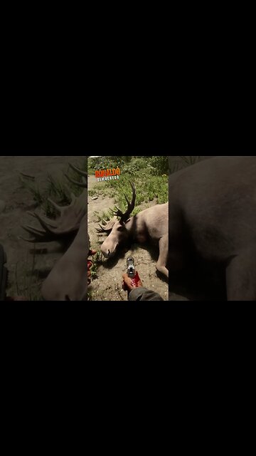 Esse MORREU sorrindo