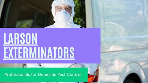 Larson Exterminators