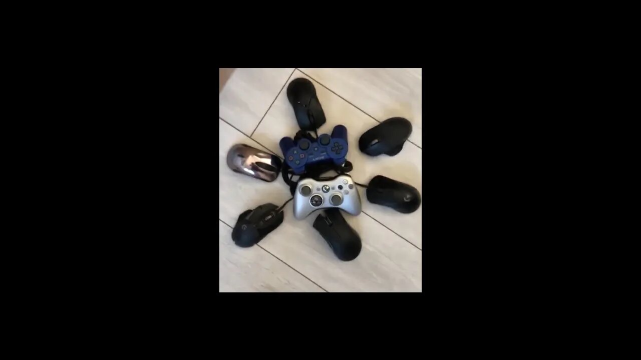 Regular Everyday Mouse User