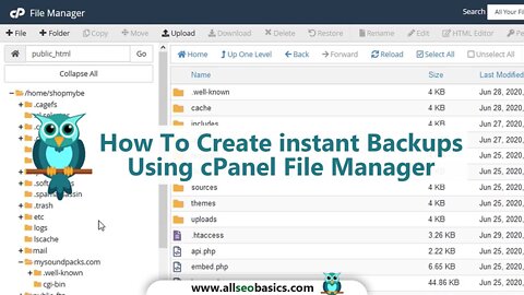 How To Create Instant Backups Using cPanel File Manager