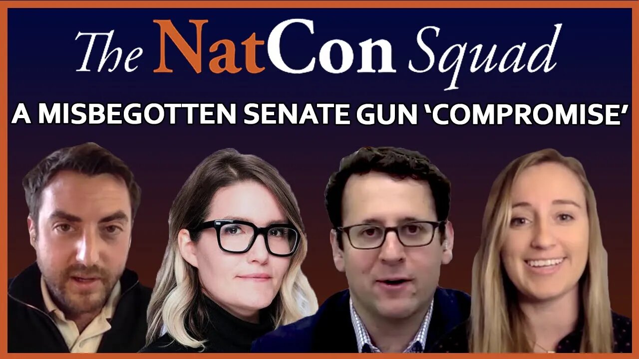 A Misbegotten Senate Gun 'Compromise' | The NatCon Squad | Episode 69